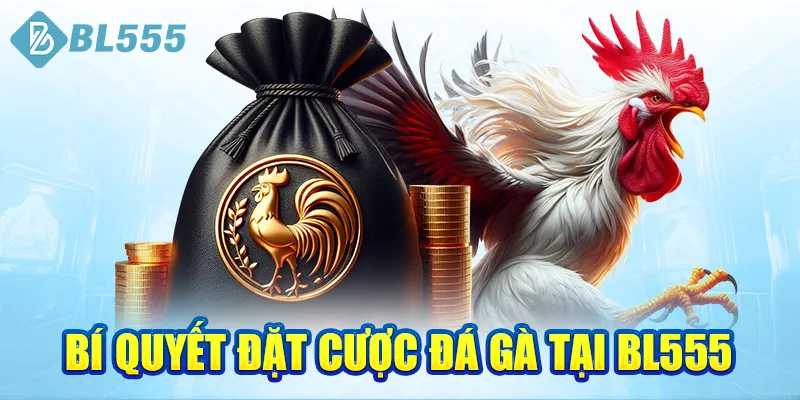 bi-quyet-dat-cuoc-da-ga-tai-bl555