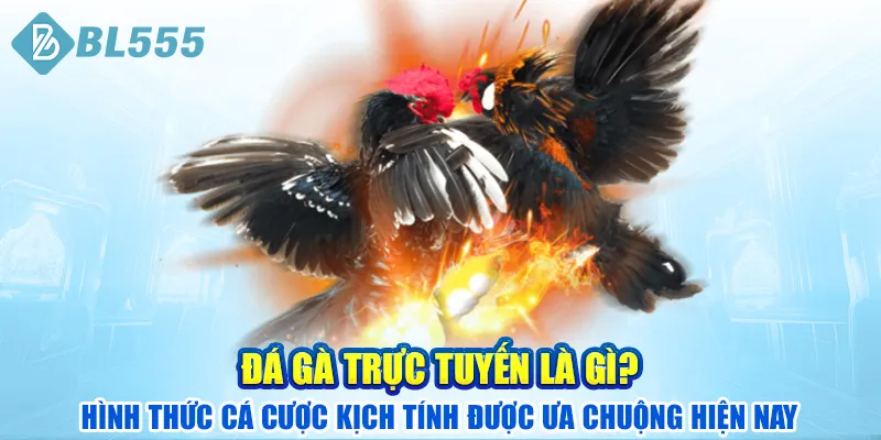 da-ga-truc-tuyen-la-gi-hinh-thuc-ca-cuoc-kich-tinh-duoc-ua-chuong-hien-nay
