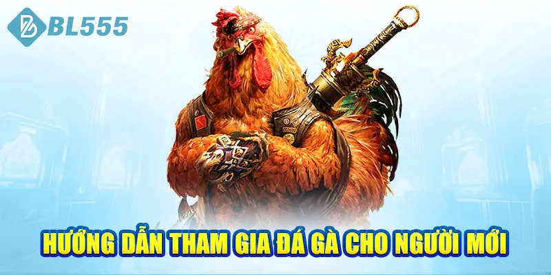 huong-dan-tham-gia-da-ga-cho-nguoi-moi