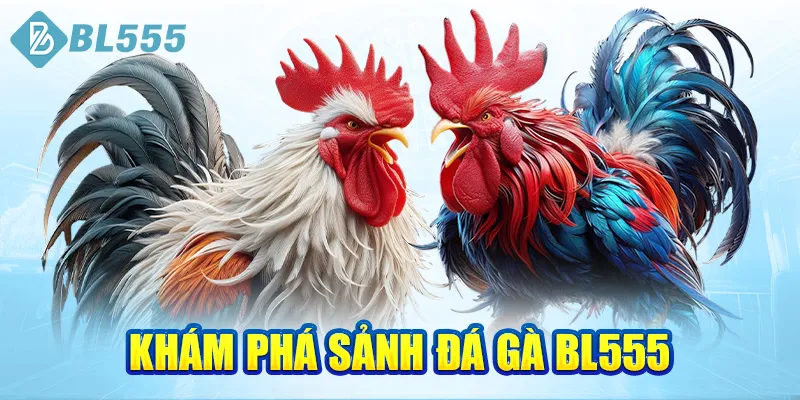 kham-pha-sanh-da-ga-bl555