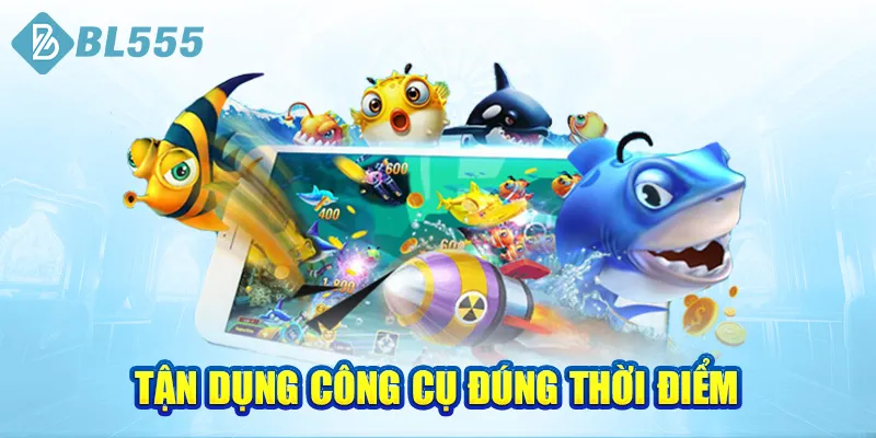 tan-dung-cong-cu-dung-thoi-diem