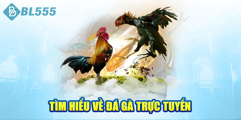 tim-hieu-ve-da-ga-truc-tuyen